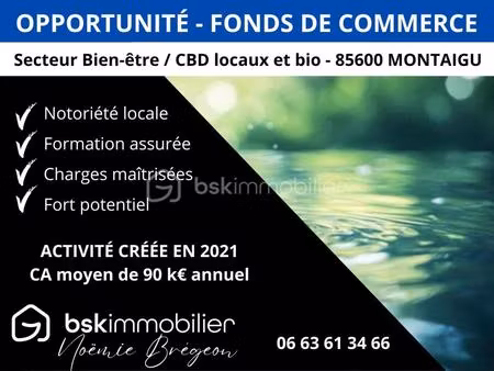 fonds de commerce à montaigu (85600)