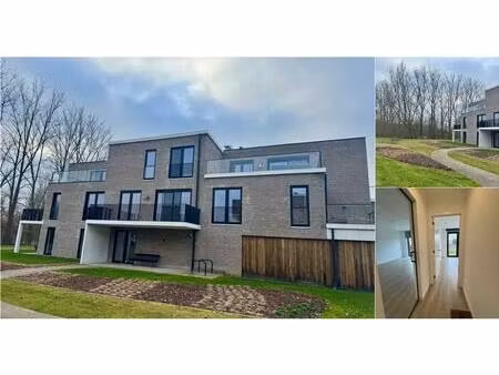 appartement à louer à heistse bossen 4 heist-op-den-berg (rbv26498)