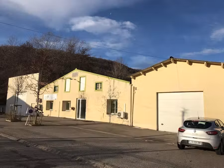 vente locaux professionnels 2109 m² à lavelanet (09300)  245 000 €