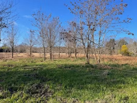 vente terrain 640 m² à biganos (33380)  240 000 €