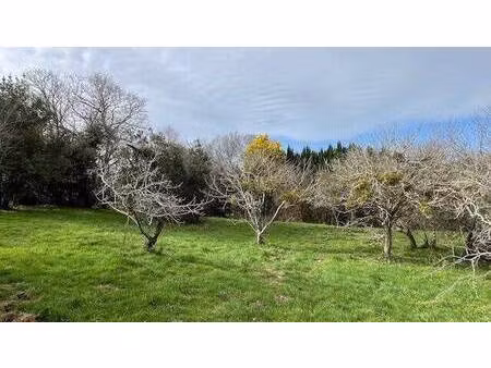 terrain constructible à vendre