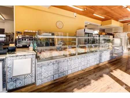 vente locaux professionnels 153 m² à cagnes-sur-mer (06800)  352 000 €