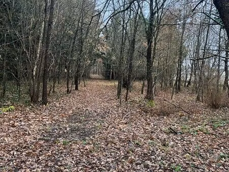 maison à rénover  grand terrain  avec dépendances  proche centre bléré