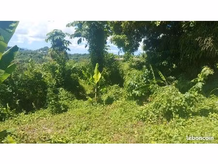 terrain constructibe de plus de 9000m²