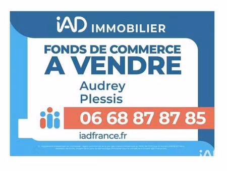 iad france audrey plessis
