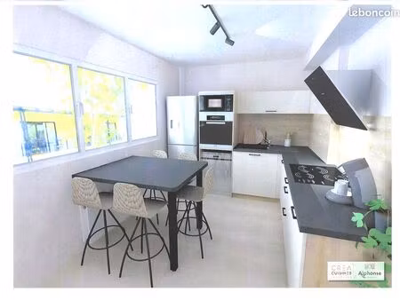 appartement rénové ( 4 chambres   97m2 )