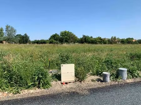 vente terrain à grues (85580) : à vendre / grues