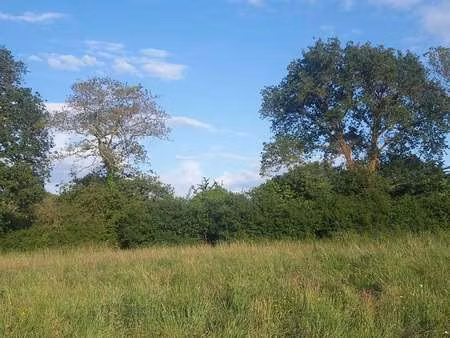 vente terrain à pornichet ermur-les forges (44380) : à vendre / pornichet ermur-les forges