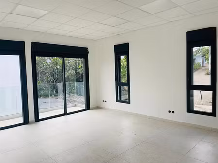 location locaux professionnels 0 pièces 40.74 m² à l'etang sale (97427)  1 356 €