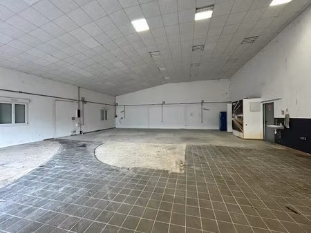 location locaux professionnels 300 m² à châtenoy-le-royal (71880)  1 700 €