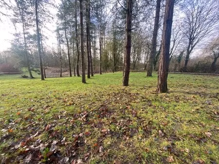 en vente terrain constructible 30 ares – 177 450 € |crémarest