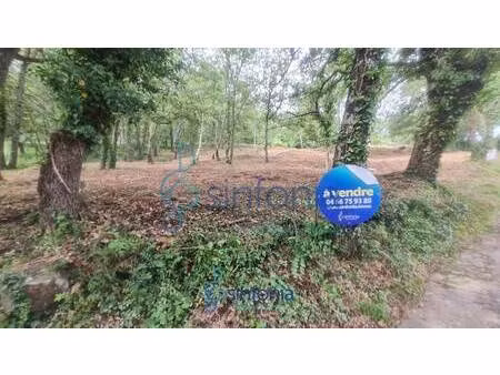 terrain constructible à vendre