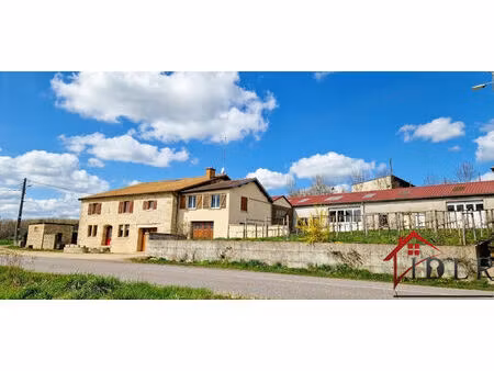 vente maison 10 pièces 258 m² varennes-sur-amance (52400)