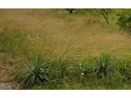 terrain romorantin-lanthenay m² t- à vendre  17 000 €