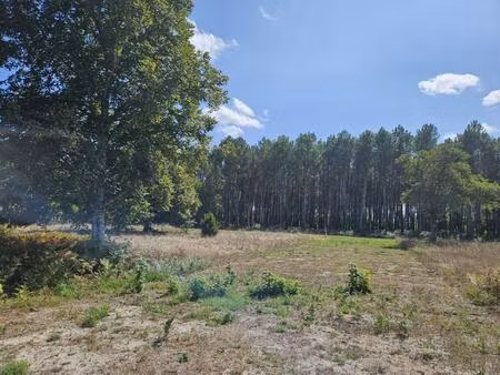 vente terrain à construire 1135 m² martillac (33650)