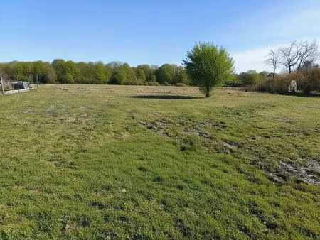 vente terrain 1422 m² saint-cricq-villeneuve (40190)