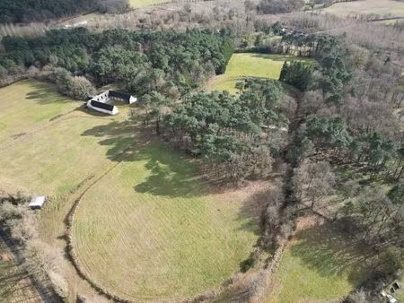 vente commerce 12 pièces 303 m² noyant-villages (49490)