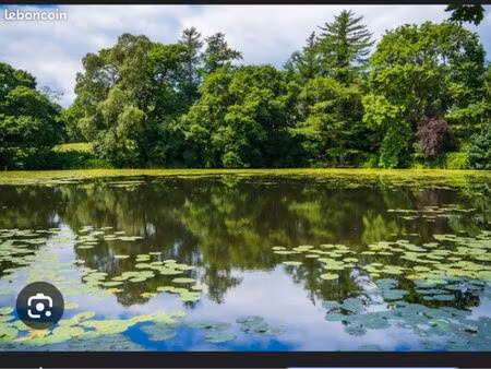 recherche location etang