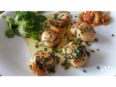 local commercial à vendre