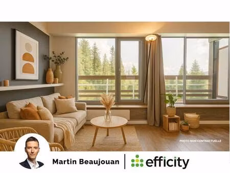efficity martin beaujouan