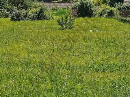 terrain a batir auxerre proche commodites