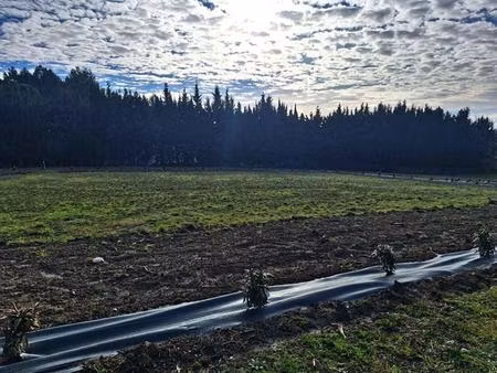 achat terrain 1 500m² montreal 11290