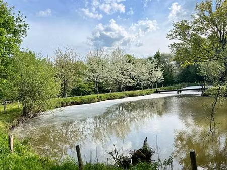 étang sur pouzauges