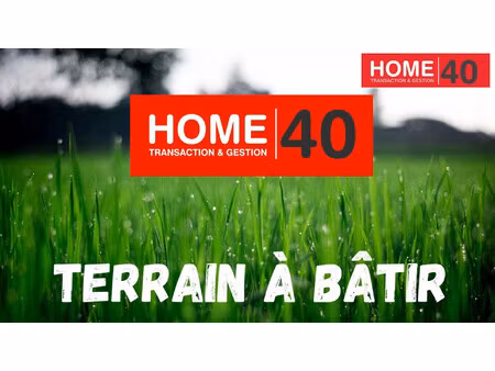 terrain boisé proche lac