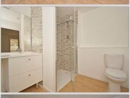 location appartement 1 pièce 30 m² à toulouse (31000)