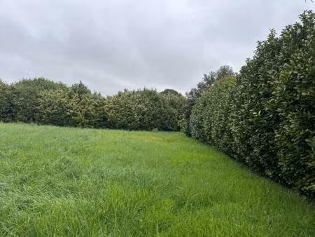 terrain constructible viabilisé à vendre