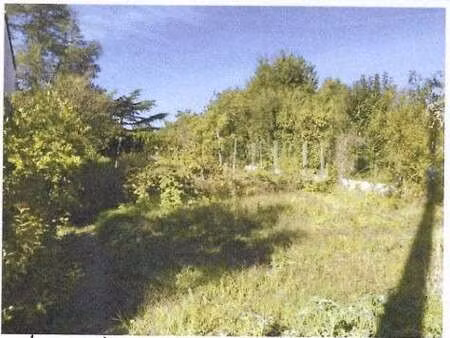 vente terrain à chantonnay (85110) : à vendre / chantonnay