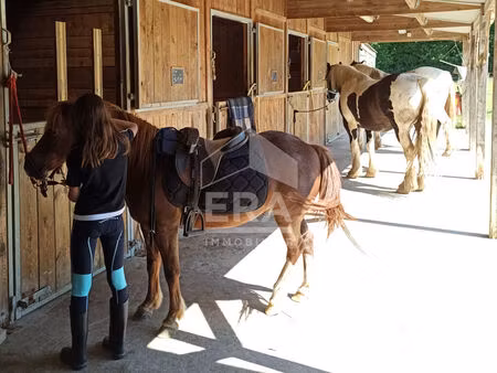 propriété equestre 9 pièces 120 m² à vendre / acheter dunkerque 59240 ? | era immobilier