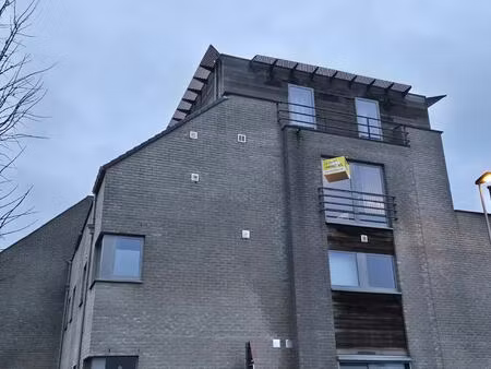 appartement te huur in tessenderlo-ham met 3 slaapkamers