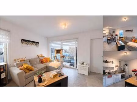 appartement à louer à rue dieudonnée morel 45 belgrade (vbd87002)