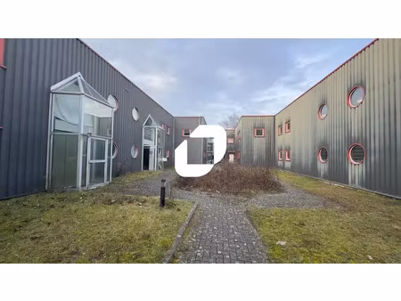 vente local d'activités reichstett 67116