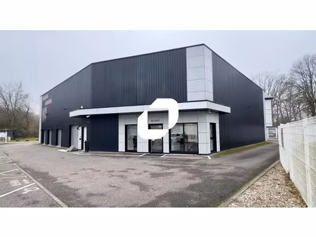 vente local d'activités schweighouse sur moder 67590