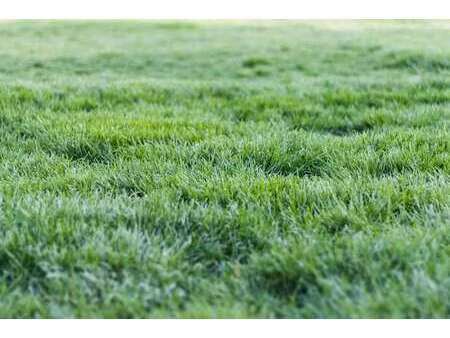 vente terrain à cléder (29233) : à vendre / cléder