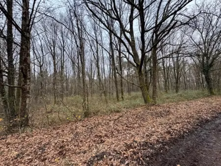 vente terrain 31496 m² à villefranche-sur-cher (41200)  38 500 €