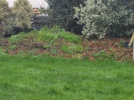 vente terrain à saint-quay-portrieux (22410) : à vendre / saint-quay-portrieux