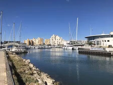 carnon plage grand appartement dédoublé en rez de jardin traversant en viager occupé sur l