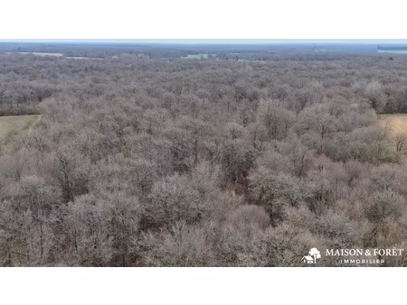 vente terrain 380335 m² à ouzouer-sur-trézée (45250)  400 000 €