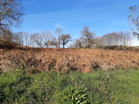 vente terrain 2492 m² à landudec (29710)  85 000 €