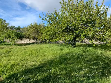 vente terrain 745 m² à carignan-de-bordeaux (33360)  155 000 €