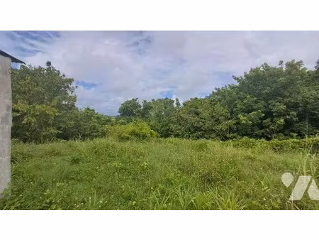vente terrain 1627 m² à sainte anne (97180)  191 000 €