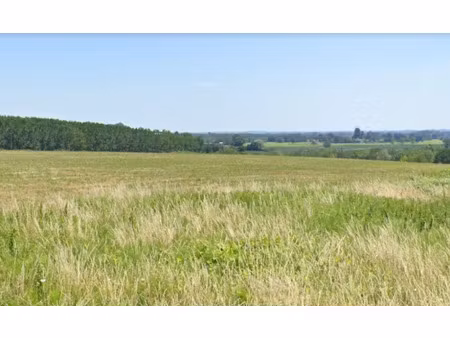 vente terrain 1200 m² à carignan-de-bordeaux (33360)  310 000 €