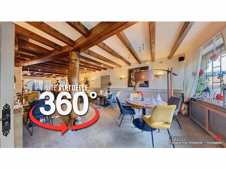 vente locaux professionnels 900 m² à saint-die-des-vosges (88100)  395 000 €