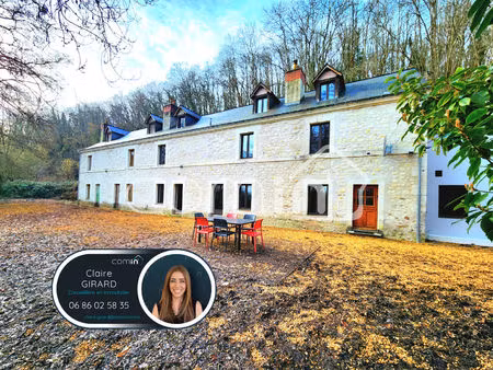 exclusivité - magnifique demeure de caractère au bord du loir - ideal gites : deux grands 