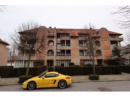 appartement te huur in hoogstraten met 2 slaapkamers