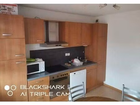 location appartement 2 pièces 50 m² à saint-louis (68300)