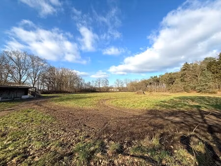 grond te koop in olen